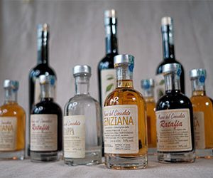 Liquori